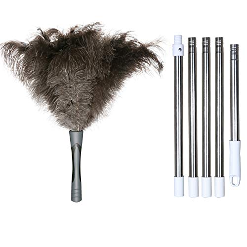 Extendable Feather Duster for Home Cleaning