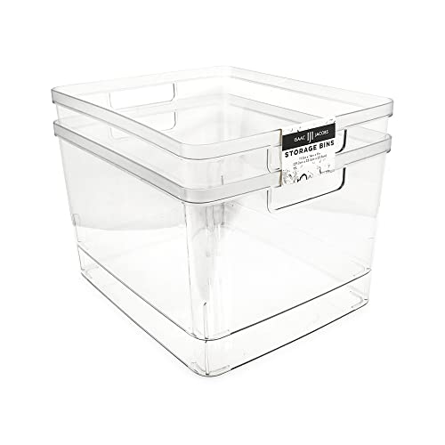 Extra-Large Clear Storage Bins with Cutout Handles