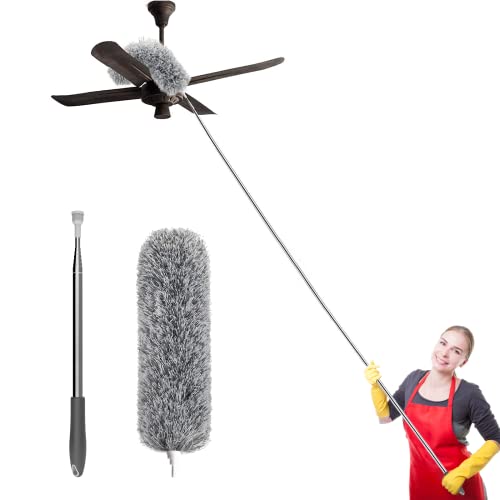 The 9 Best Dusting Tools of 2023