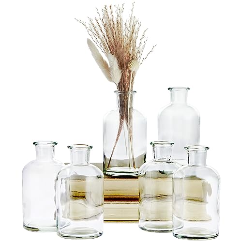Farmlyn Creek Small Glass Vases