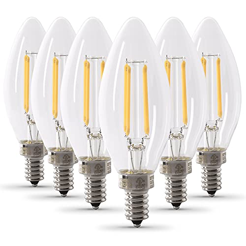 Feit Electric Dimmable LED Light Bulb