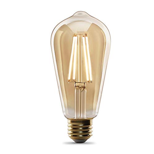Feit Electric Vintage Exposed Filament Amber Glass LED ST19 Soft White Bulb