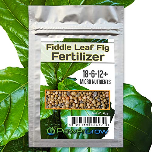 PowerGrow Fiddle Fig Fertilizer - 8 Month Slow Release - 6 OZ