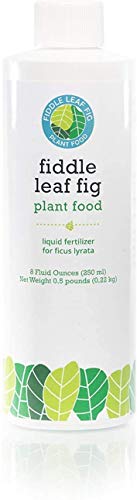 Fiddle Leaf Fig Plant Food - All-Organic Nutrition for Growth and Health