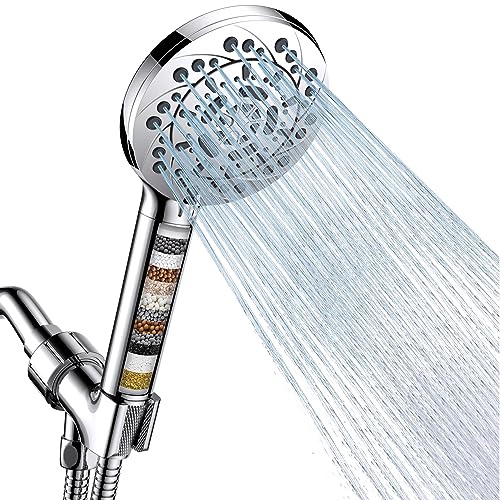 Filtered Shower Head with Handheld