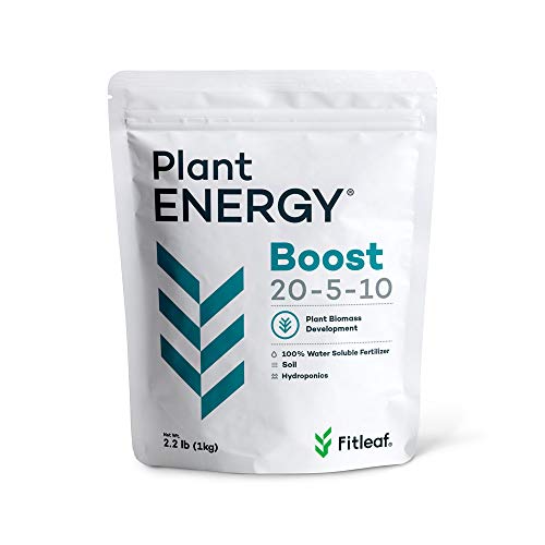 Powerful Plant Energy Boost: Complete Nutrition Formula