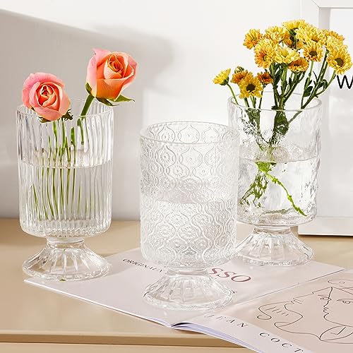 Fixwal Clear Glass Vases Set of 3