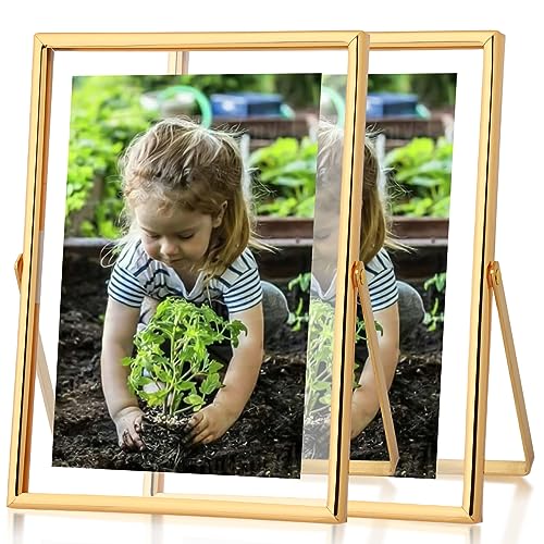 Fixwal Floating Picture Frame Set of 2