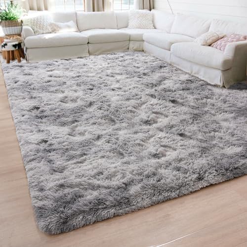 14 Incredible Area Rugs For Living Room for 2024