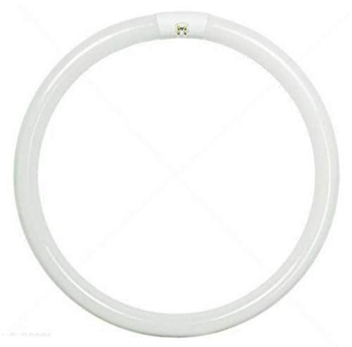 Fluorescent Circline Bulb with Cool White Light - Upgrade Your Lighting