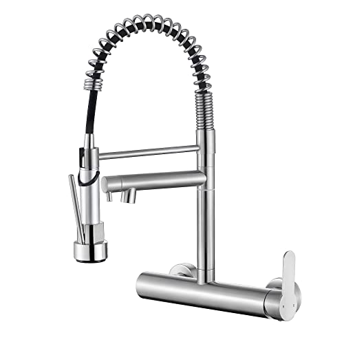 FLWUEUE Wall Mount Faucet
