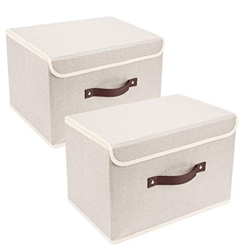 Foldable Storage Boxes with Lids 2 Pack
