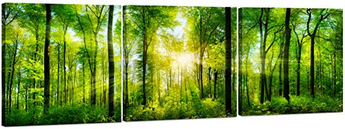 Nature's Tapestry: Large 3-Panel Forest Canvas Wall Art - 24x72