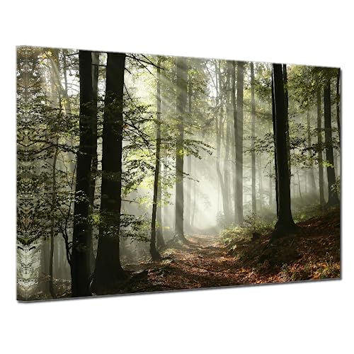 Forest Canvas Wall Art for Home Decor