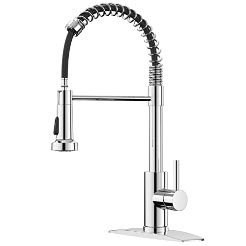 FORIOUS Kitchen Faucet with Pull Down Sprayer
