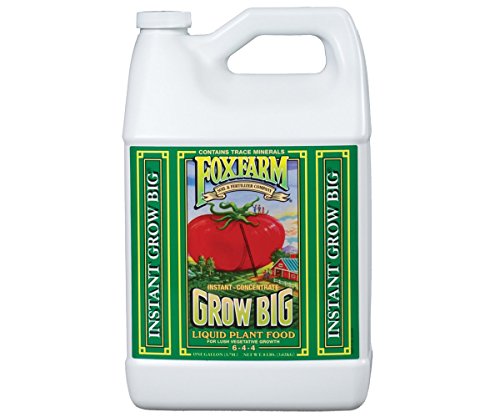 FoxFarm Grow Big Fertilizer, 1 Gallon