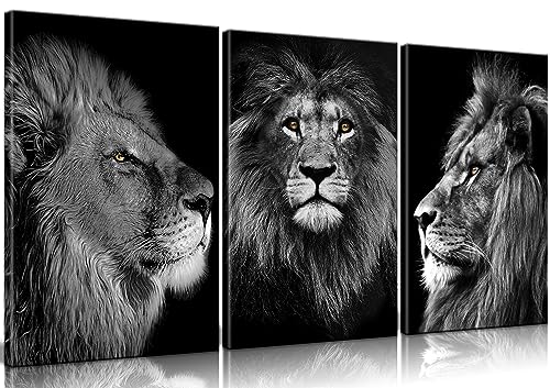 Framed Lion Wall Art - Perfect Men's Room Decor