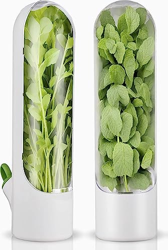 Fresh Herb Keeper for Refrigerator - Herb Storage Container