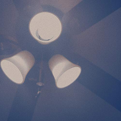 Friend in the Ceiling Fan Light