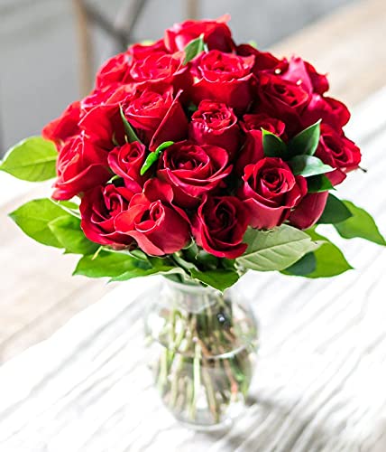 24 Long Stemmed Red Roses with Free Vase" by From You Flowers