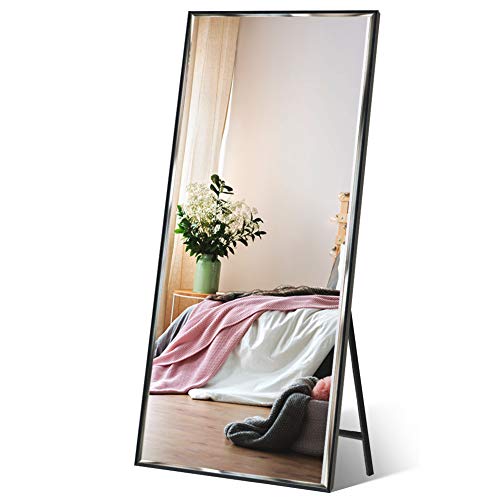 Full Length Mirror with Black Frame