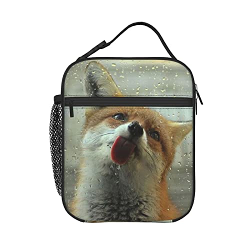 Funny Fox Lunch Box - Insulated Lunch Bags