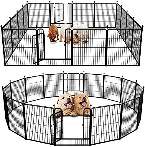 FXW Rollick Dog Playpen - Spacious, Safe, and Flexible