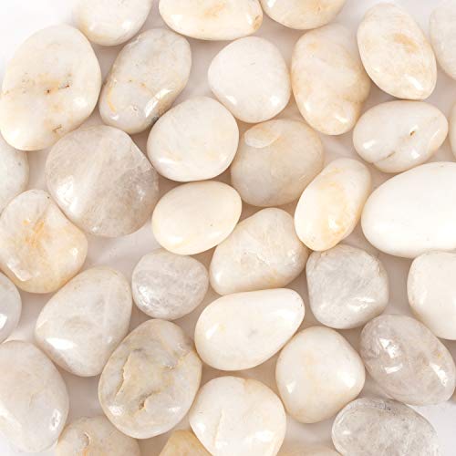 Galashield 5 lb White Rocks Pebbles for Plants Natural Decorative Polished Stones for Planters Succulent River Rocks Aquarium Gravel