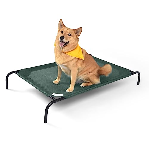 Large Brunswick Green Elevated Dog Bed by Coolaroo - Indoor/Outdoor