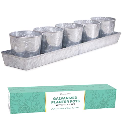 Galvanized Herb Planter with Drainage Holes