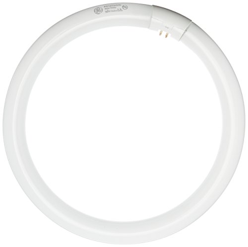 GE Circline Fluorescent Light Bulb - Cool White