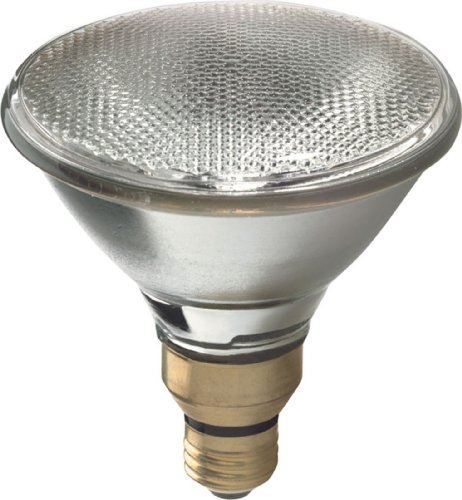 GE PAR38 Halogen Flood Light Bulb