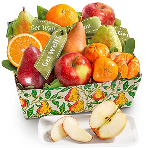 Get Well Fruit Favorites Basket