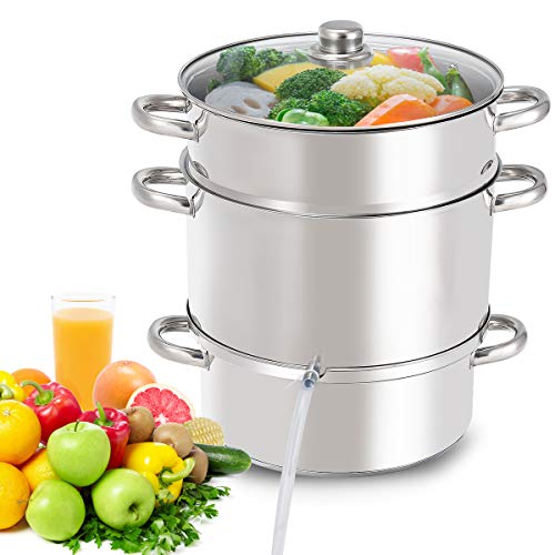 https://storables.com/wp-content/uploads/2023/11/giantex-juice-steamer-fruit-and-vegetable-juicer-steamers-41qvAnG5eLL.jpg
