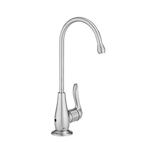 Stainless Steel Single-Handle Water Filtration Faucet