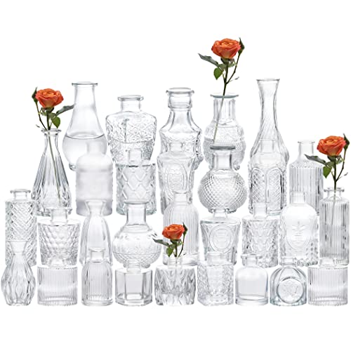 Glass Bud Vases Set