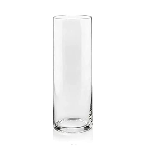 Glass Cylinder Vases - Elegant and Versatile Home Decor