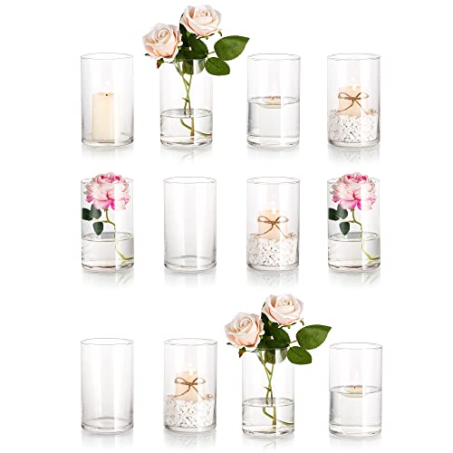 Glass Cylinder Vases Set of 12