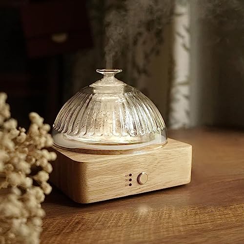 Glass Dome Essential Oil Diffuser with Wood Base