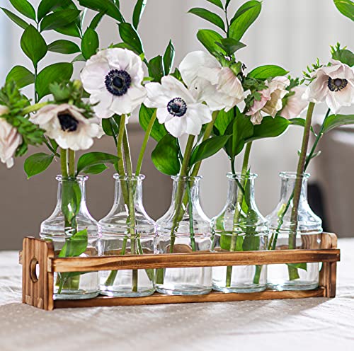 Glass Flower Vase with Wooden Holder and 5 Bud Vases