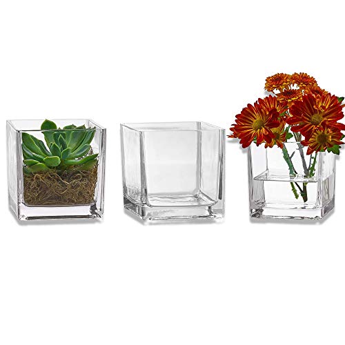 Glass Square Vases - Wedding Centerpieces, Home Decoration