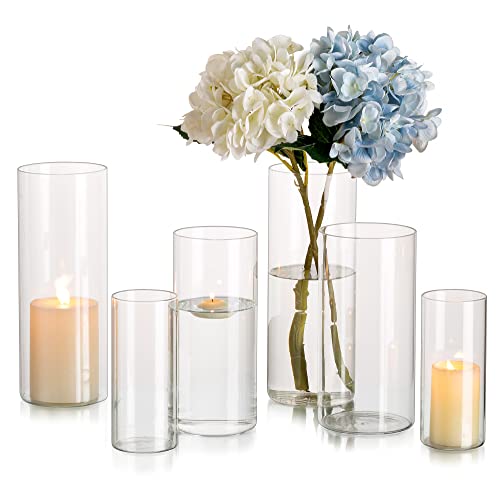 Glasseam Clear Cylinder Vases Set of 6