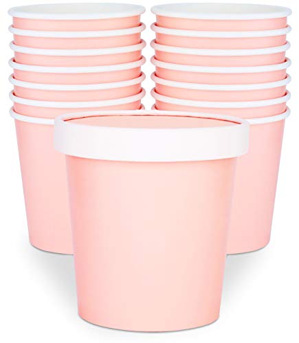 Glowcoast Ice Cream Containers - 16 oz Pint Disposable Storage Container for Homemade Icecream