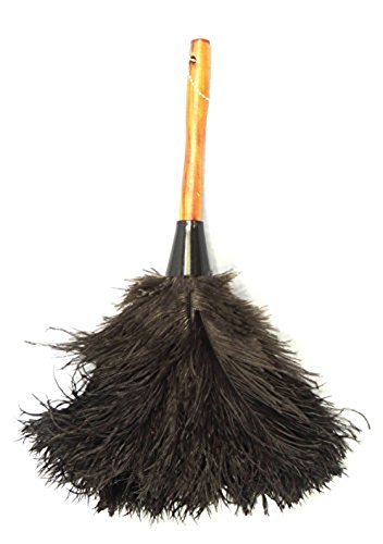 GM Ostrich Feather Duster