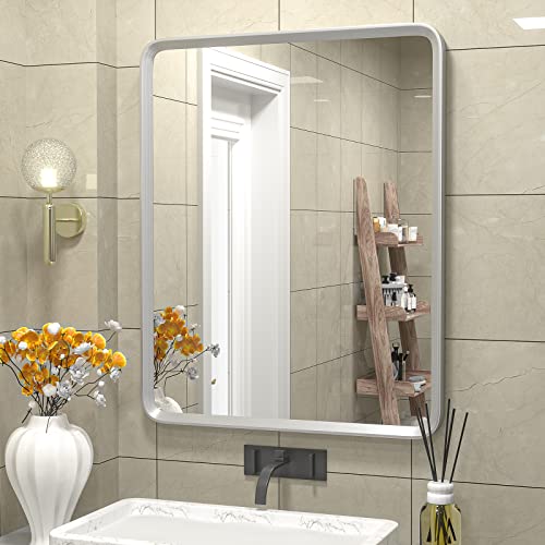 GOLOMO 16x20 Inch Silver Bathroom Mirror