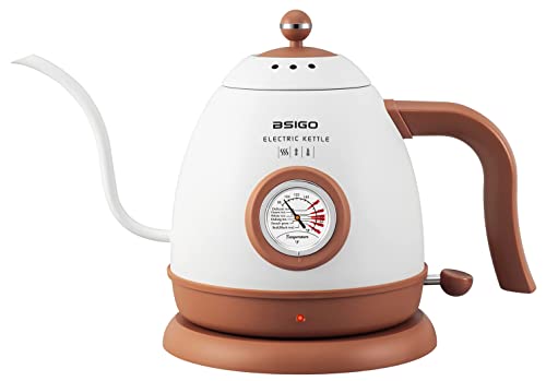 Gooseneck Electric Kettle with Thermometer