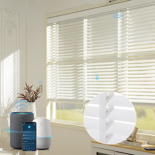 Graywind Motorized Real Wood Blinds