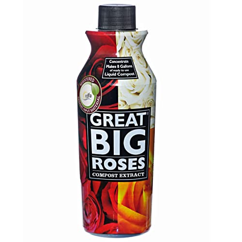Great Big Roses - Soil and Fertilizer Booster