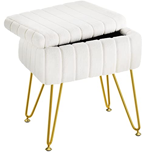 Greenstell Vanity Stool Chair with Storage