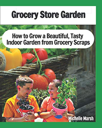 Grocery Store Garden: Indoor Garden from Grocery Scraps